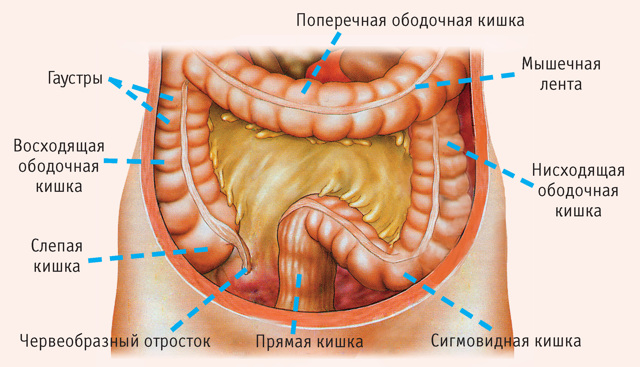 Синдром (болезнь) Пайра у взрослых. Что это такое, лечение не оперативно