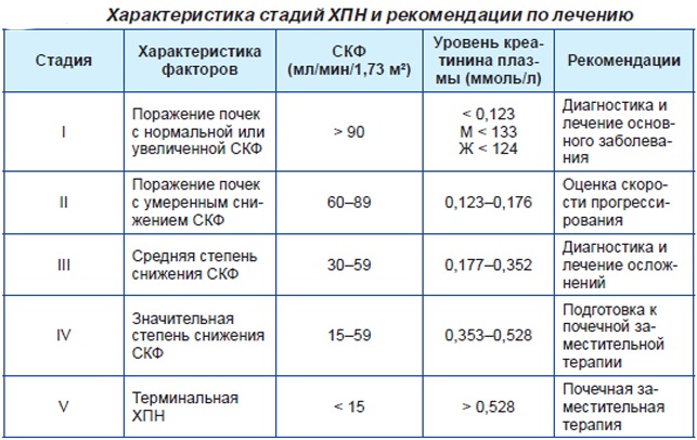 СКФ норма у женщин, мужчин, детей по возрасту. Таблица