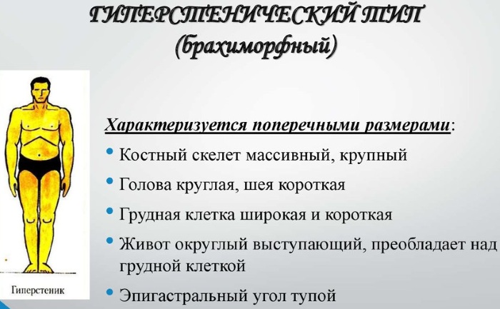 Типы телосложения у женщин, мужчин. Анатомия, объективные показатели, пропорции, визуальная оценка