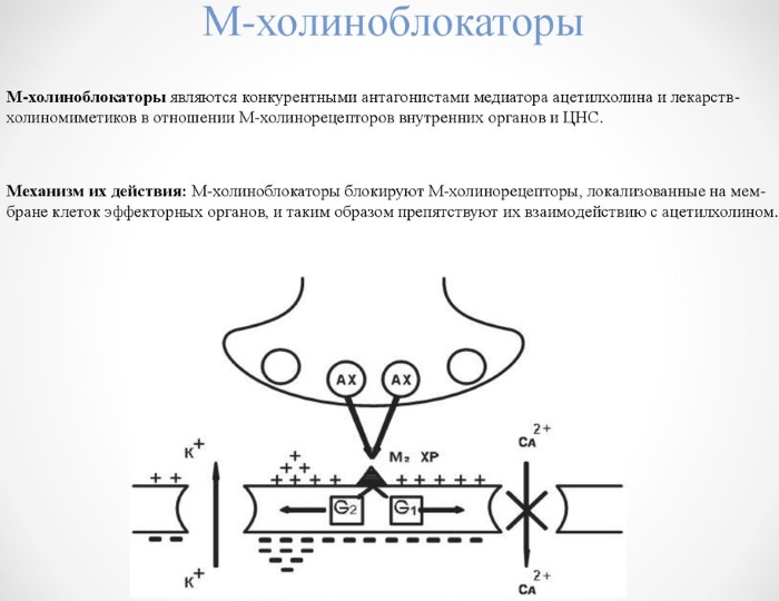 Циклопентолат глазные капли. Инструкция по применению, цена, отзывы