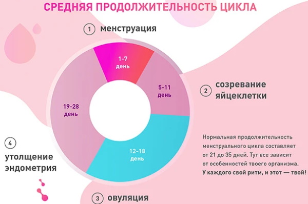 Уровни регуляции менструационного цикла, гормоны. Схема, таблица