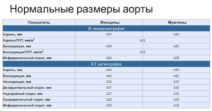 Аорта у человека. Где находится, начинается, отходит, анатомия