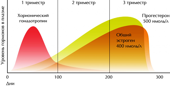 БХБ (биохимическая) беременность. Что это такое, симптомы, срок