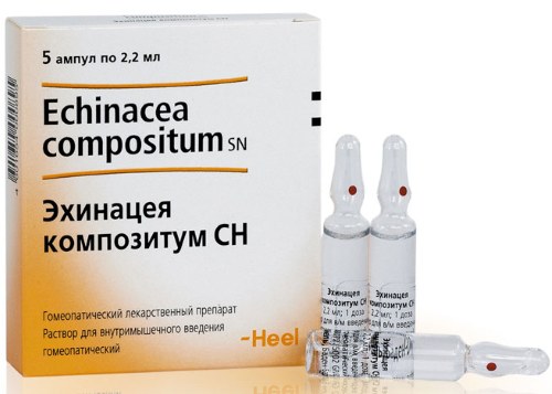 Кандида альбиканс (Candida albicans). Что это такое, норма, лечение