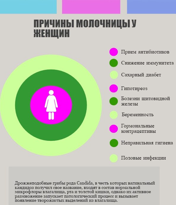 Кандида альбиканс (Candida albicans). Что это такое, норма, лечение