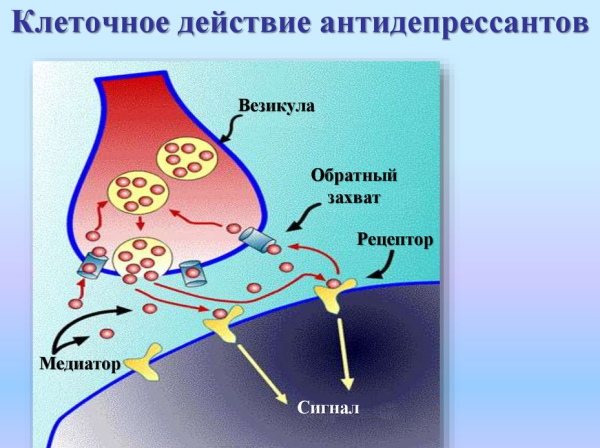 Симбалта (Cymbalta). Инструкция по применению, цена, отзывы, аналоги