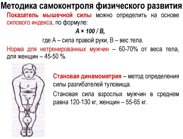 Что измеряет становой динамометр