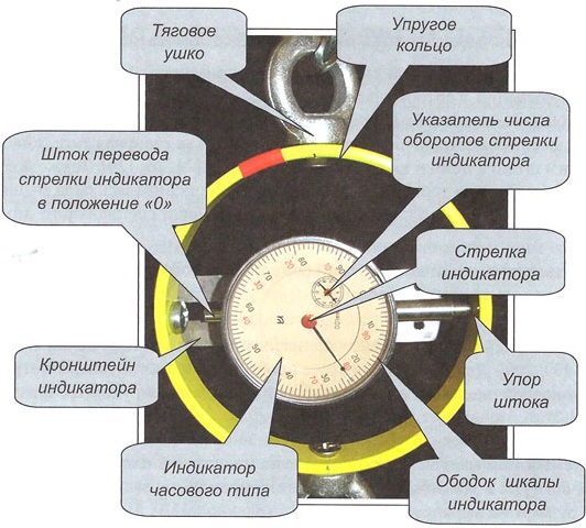 Что измеряет становой динамометр