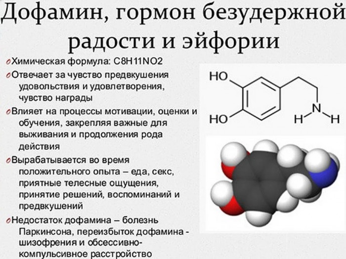 Проект про гормоны