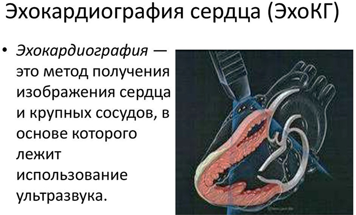 Холтеровское (суточное) мониторирование сердца ЭКГ. Цены