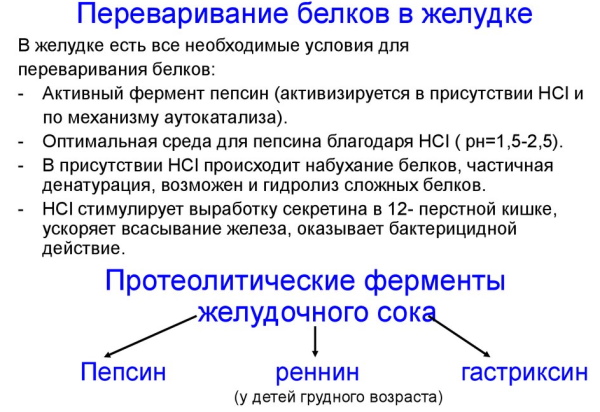 Катаболизм это что в биологии, этапы, примеры, таблица