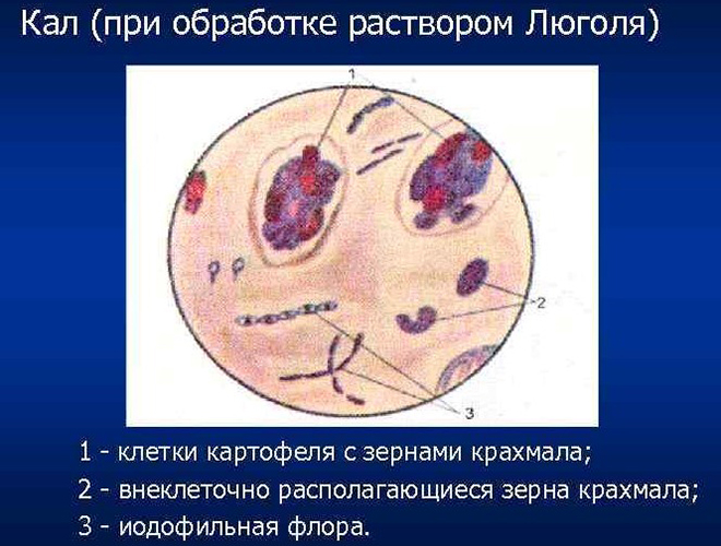 Крахмал внеклеточный в кале у ребенка. Что это значит