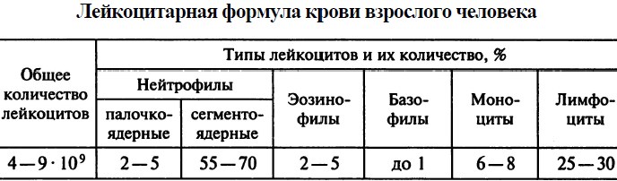 Лейкоформула крови (лейкограмма, лейкоцитарная формула). Расшифровка у взрослых, норма