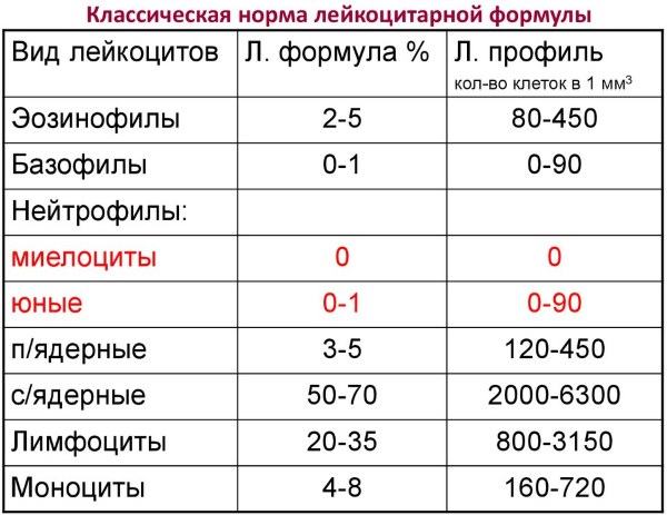 Лейкоформула крови (лейкограмма, лейкоцитарная формула). Расшифровка у взрослых, норма