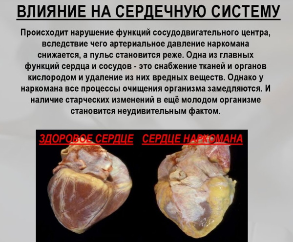 Мефедрон. Что это такое, вред и польза, последствия употребления наркотика, зависимость