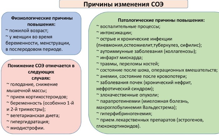 Повышена СОЯ в крови у взрослого. Причины и лечение