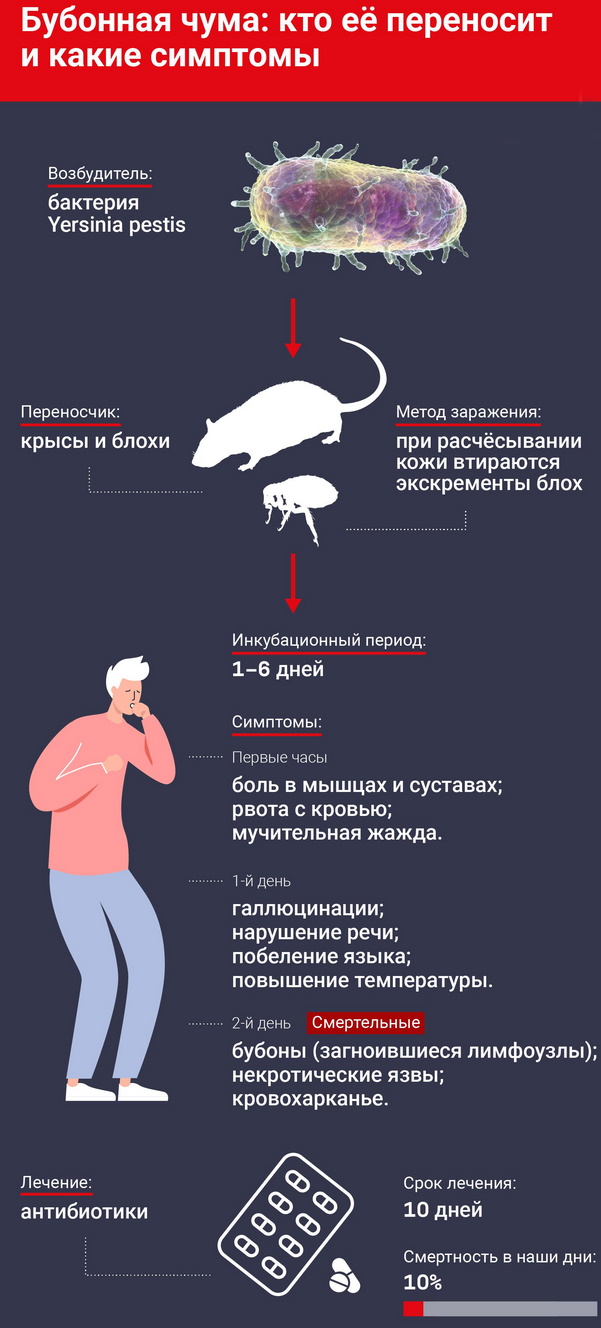 Природно-очаговые заболевания. Что это такое, примеры, список, причины