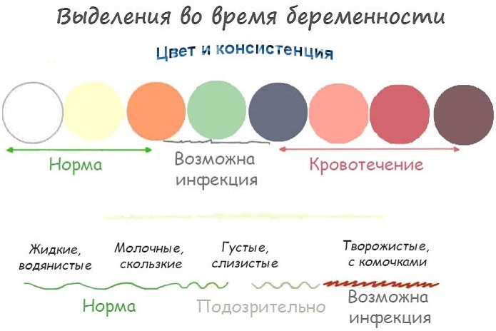 Слизистые выделения при беременности: желтые, белые, коричневые, зеленые