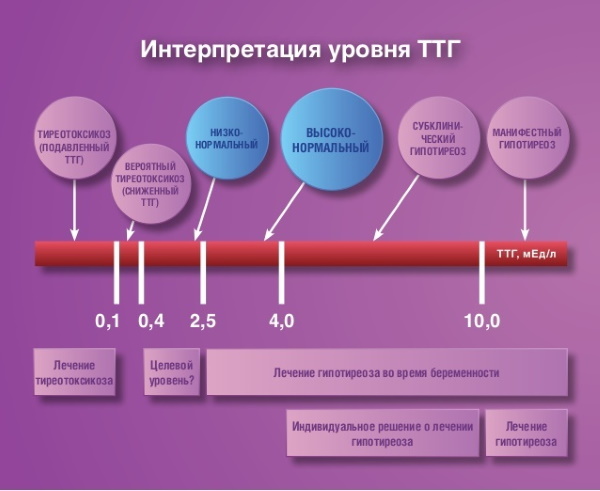 TSH анализ крови (ТТГ). Что это такое, норма, расшифровка