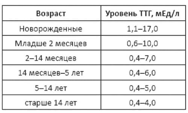 TSH анализ крови (ТТГ). Что это такое, норма, расшифровка