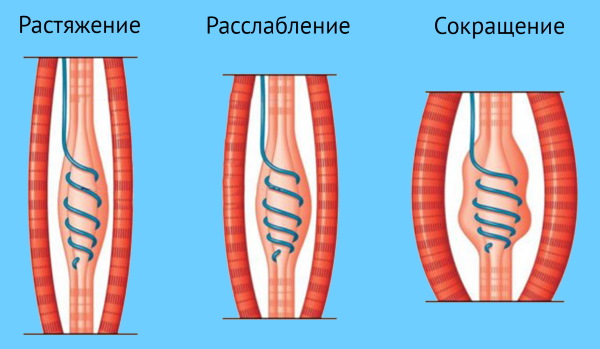 Юмейхо терапия. Что это такое, последствия, почему запрещена