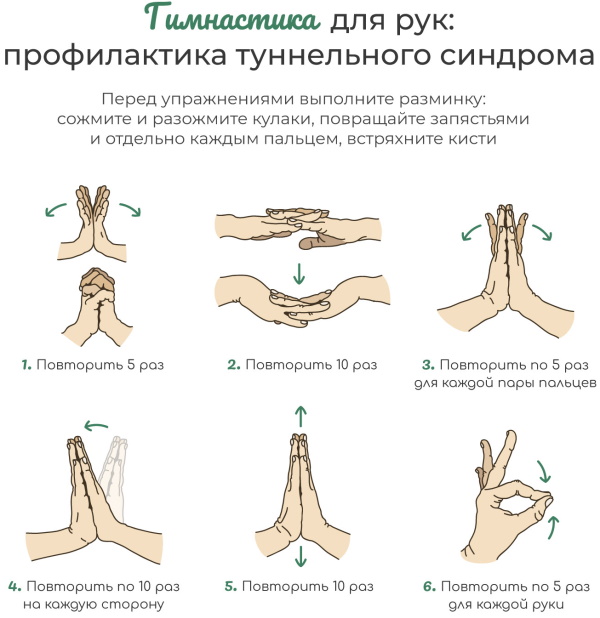 Запястье руки. Анатомия, где находится, как болит, причины, лечение