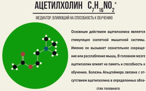 На фоне прозерина действие ацетилхолина