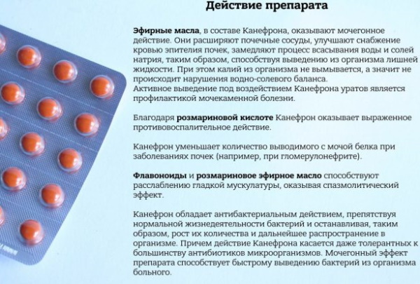 Аналоги Канефрона в таблетках при беременности, лактации. Цена