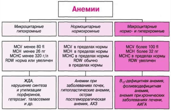 Анемия. Классификация по гемоглобину ВОЗ у мужчин, детей, женщин