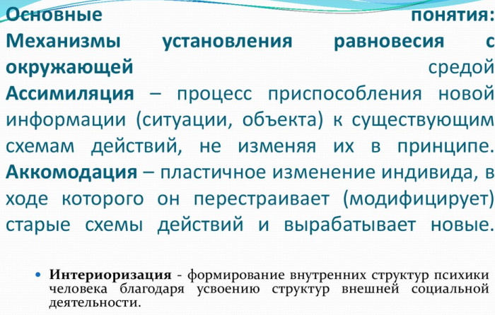 Ассимиляция в психологии. Что это, определение по Пиаже, примеры