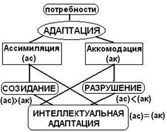 Ассимиляция в психологии. Что это, определение по Пиаже, примеры