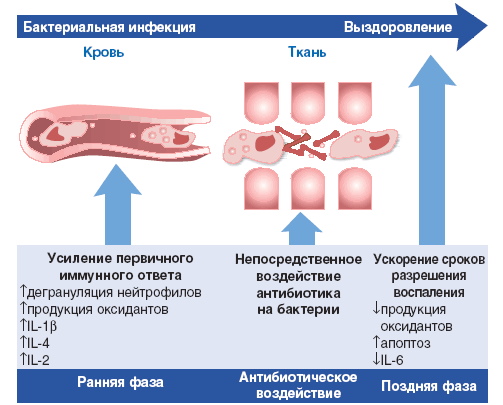 Азитромицин сироп для детей. Инструкция по применению, цена, отзывы