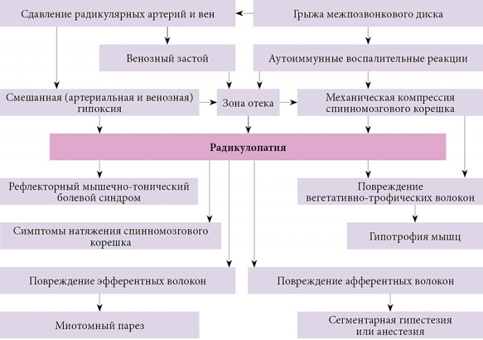 Боль в ягодице слева отдающая в ногу, справа. Что это, причины при сидении, ходьбе, вставании