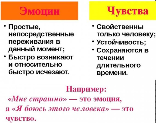 Чувства в психологии. Что это, определение высших, интеллектуальных, моральных