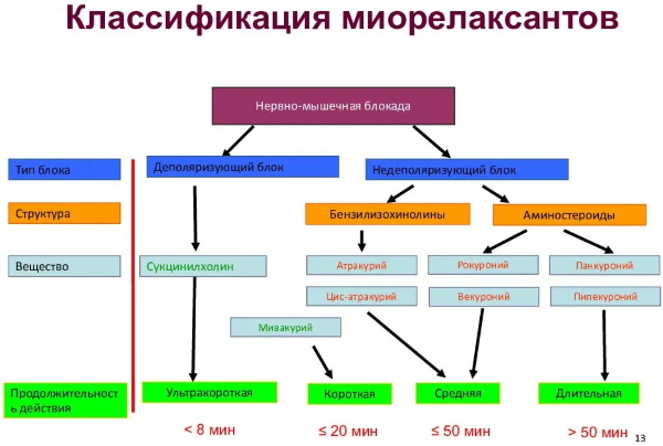 Миорелаксанты для снятия мышечных спазмов препараты. Список