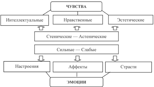 Чувства в психологии. Что это, определение высших, интеллектуальных, моральных