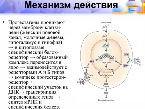 Дюфастон при беременности, планировании. Инструкция, отзывы