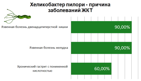 Бактерия хеликобактер пилори в желудке. Как лечить медикаментозно