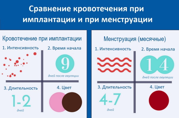 Имплантация эмбриона. Признаки, ощущения, день цикла