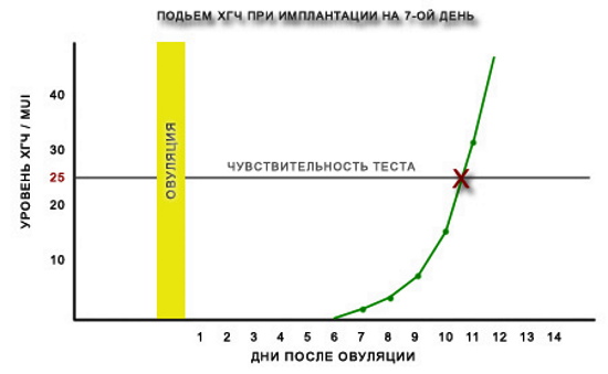 Имплантация эмбриона. Признаки, ощущения, день цикла