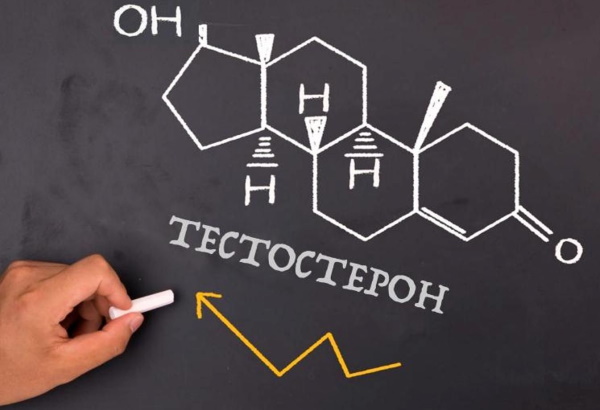 Как повысить тестостерон у женщин естественными способами