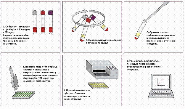 Как провериться на туберкулез взрослому человеку. Анализ по крови, Инвитро, гемотест