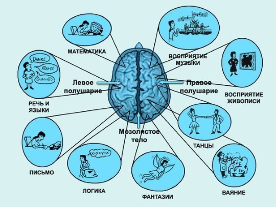 Когнитивная психология кратко и понятно. Презентация