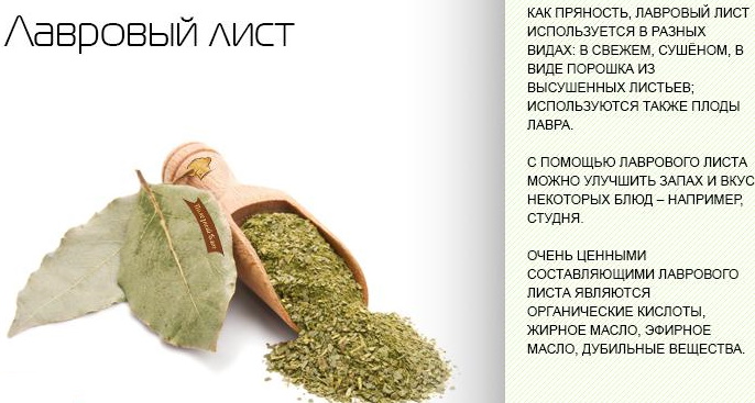Лечение лавровым листом. Рецепты, применение, отзывы