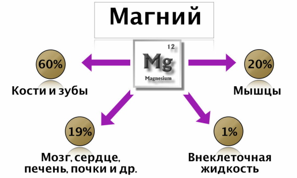 Магний B6 для детей в таблетках. Инструкция, цена, отзывы