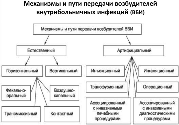 Механизмы (пути) передачи инфекции, инфекционных заболеваний. Что это, примеры