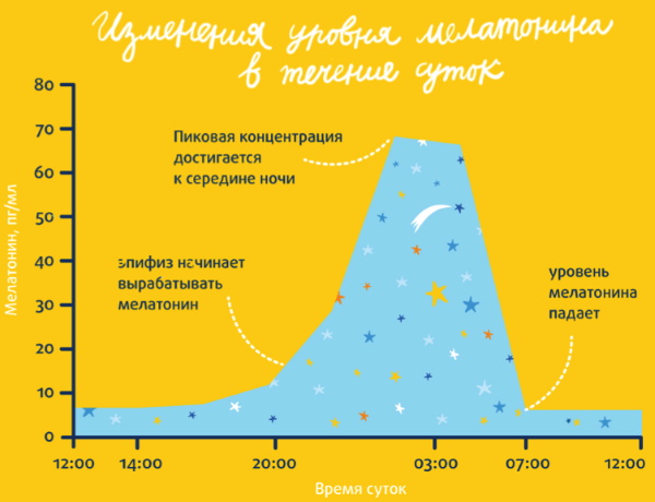 Мелатонин в таблетках. Польза и вред, отзывы врачей