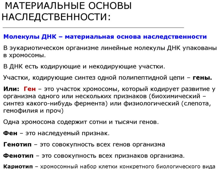 Наследственность человека в биологии. Что это такое, генетика, x y хромосомы, виды