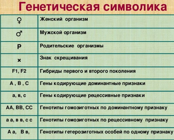 Наследственность человека в биологии. Что это такое, генетика, x y хромосомы, виды