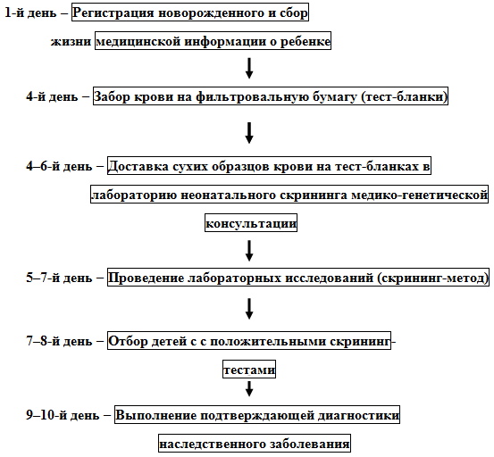 Неонатальный скрининг новорожденных. Что это такое, сроки